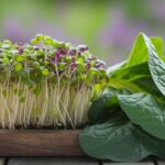 nutritional comparison of greens