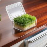 store microgreens for freshness