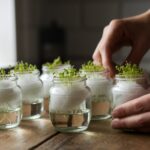 grow watercress from seeds
