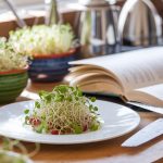 fresh sprouts for cooking