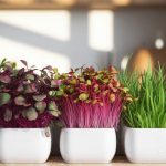 homegrown microgreens health benefits