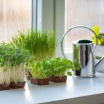 indoor gardening made simple