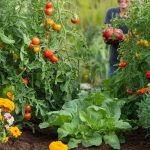 real life gardening transformations