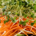 crisp vegetable salad recipe