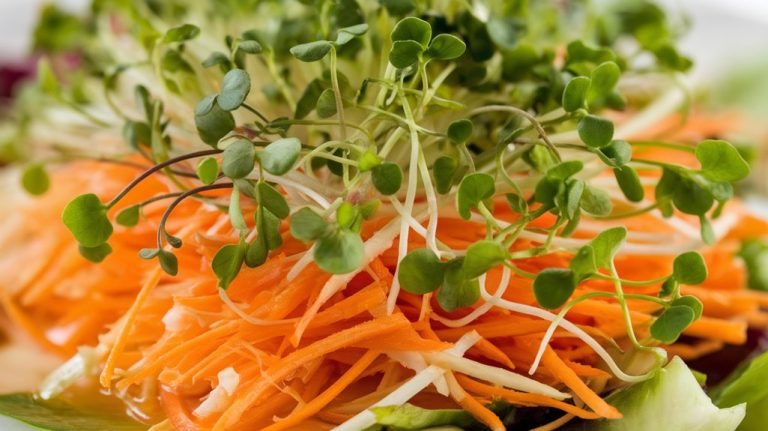 crisp vegetable salad recipe