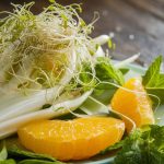 fresh fennel orange salad