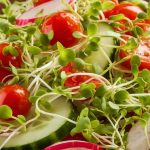 fresh greens and sprouts