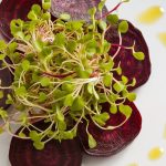 fresh salad with vinaigrette