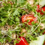 healthy sprouted mung salad