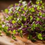 bold flavor for dishes