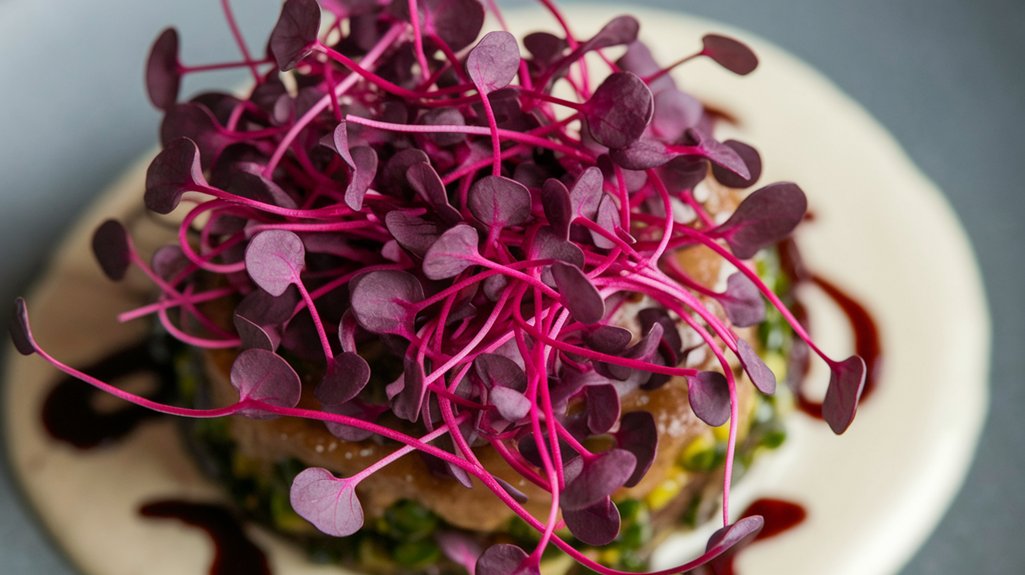 colorful nutritious flavorful garnish