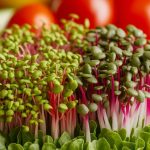 flavorful salad enhancements combo