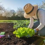 optimal planting techniques revealed