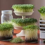 sprouting methods comparison guide