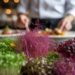 microgreens culinary trend essentials